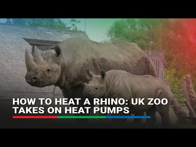 ⁣How to heat a rhino: UK zoo takes on heat pumps