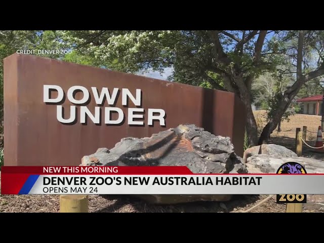 ⁣Denver Zoo's Australian habitat to open Friday