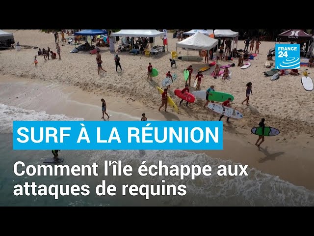 ⁣Surf à La Réunion : comment l'île parvient à éviter les attaques de requins depuis 5 ans