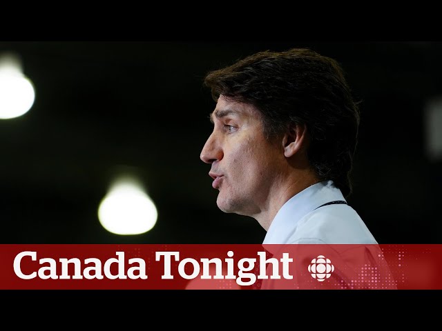 ⁣Trudeau’s ‘turbulent reign’ described in new Stephen Maher book | Canada Tonight