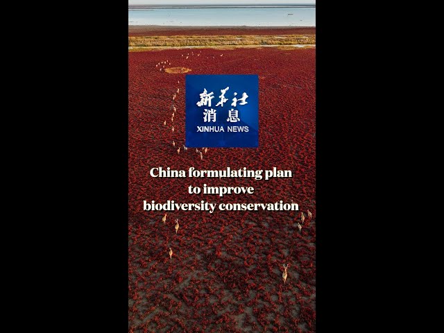 ⁣Xinhua News | China formulating plan to improve biodiversity conservation