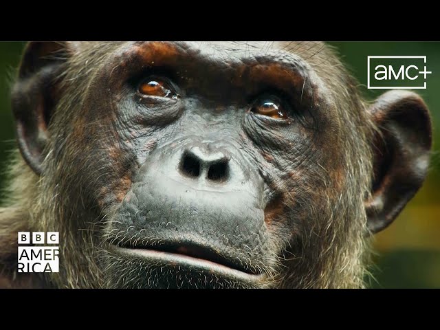 Mammals Official Trailer | Series Premiere July 13 | BBC America