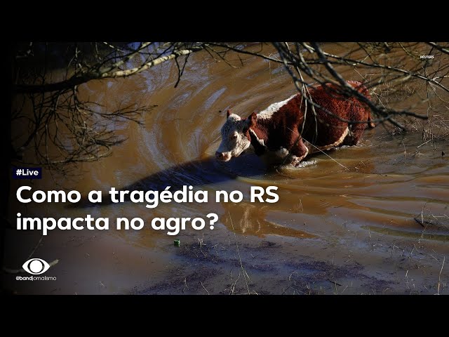 ⁣Como a tragédia no RS impacta no agro gaúcho e nacional? | Live
