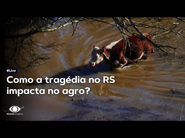 Como a tragédia no RS impacta no agro gaúcho e nacional? | Live