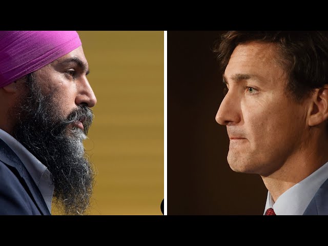 ⁣Singh calls on Trudeau to recognize Palestinian statehood