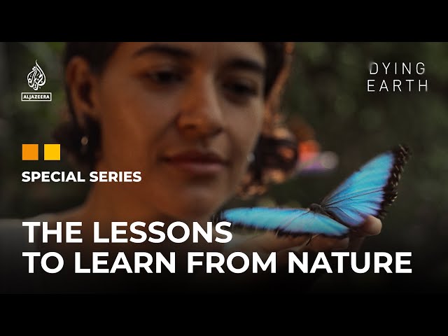 ⁣Nothing Grows Forever: The lessons to learn from nature | Dying Earth: E7 | Featured Documentary