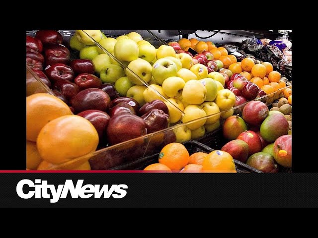 ⁣Business Report: Grocery inflation still big issue for Canadians