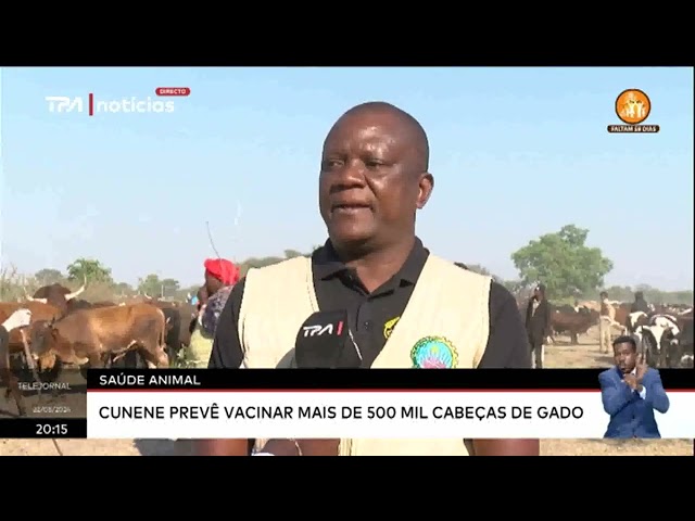 ⁣Saúde Animal : Cunene prevé vacinar mais de 500 mil cabeças de Gado