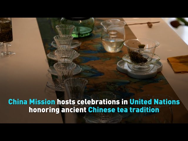 ⁣China Mission hosts celebrations in United Nations honoring ancient Chinese tea tradition