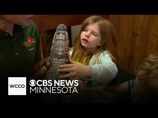 ⁣Snakes and turtles and crocodiles, oh my! How the RAD zoo educates the public on a wide variety of r