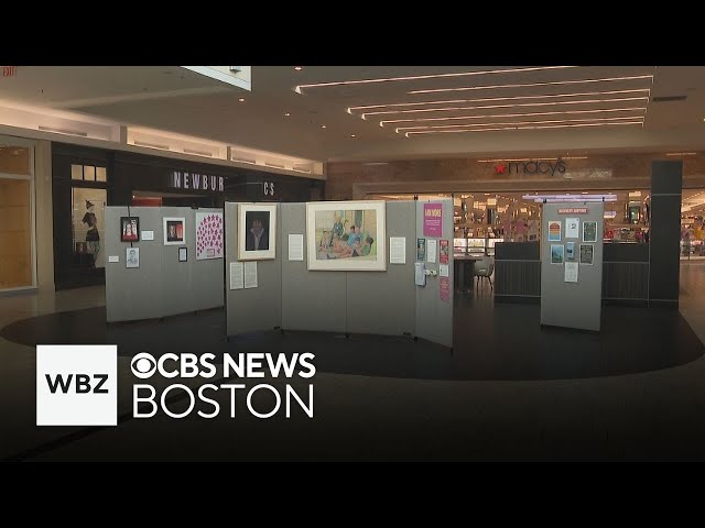 ⁣Northshore Mall art display focuses on mental health