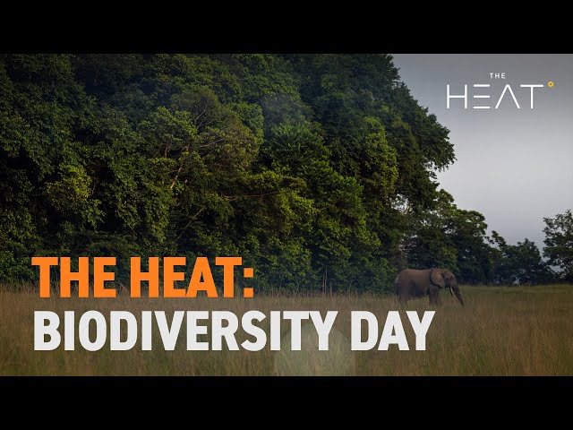 ⁣The Heat: Biodiversity Day