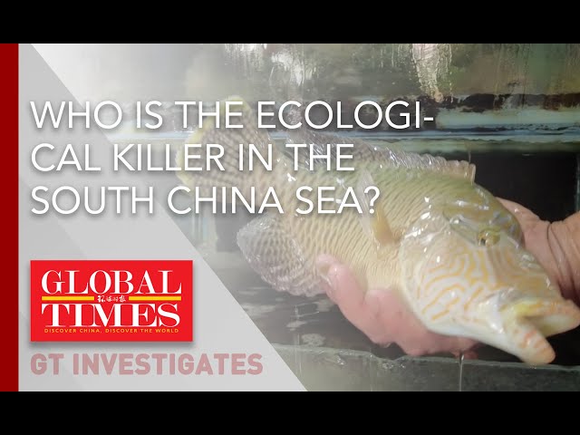 ⁣Who is the real ecological killer of the South China Sea?