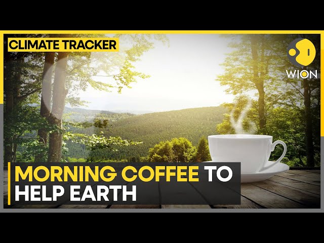 ⁣Turning coffee grounds into sustainable concrete | WION Climate Tracker
