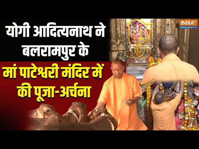 ⁣CM yogi ने UP के Balrampur में स्थित Maa Pateshwari Temple में किए दर्शन | Loksabha Election 2024