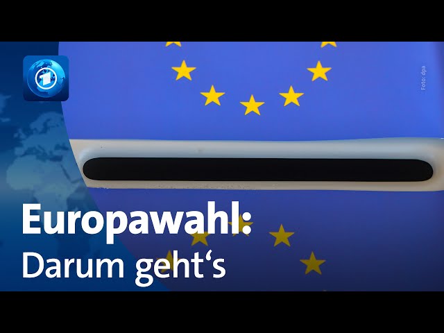 ⁣Darum geht es bei der Europawahl