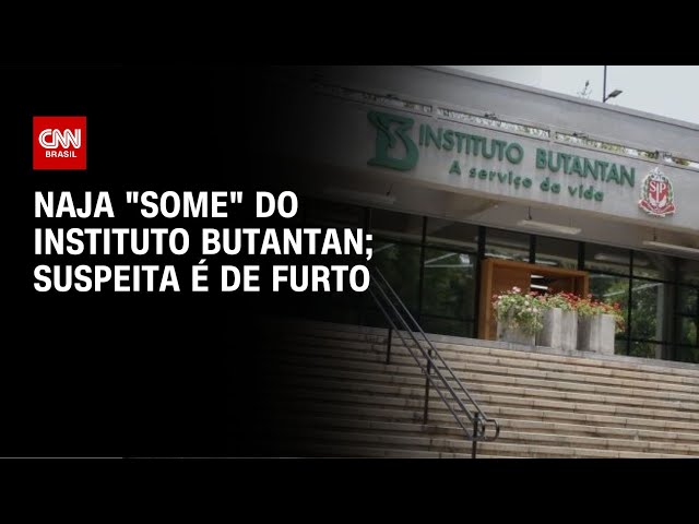 Naja "some" do Instituto Butantan; suspeita é de furto | CNN NOVO DIA