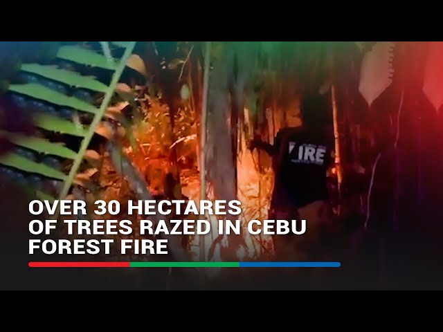 ⁣Over 30 hectares of trees razed in Cenu forest fire | ABS-CBN News