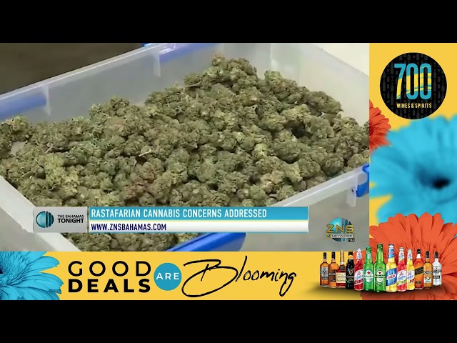 ⁣Rastafarian Cannabis Concerns Addressed