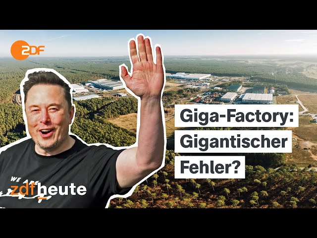 ⁣Was wird aus der Tesla-Fabrik in Brandenburg? Reportage über Elon Musks Giga-Factory