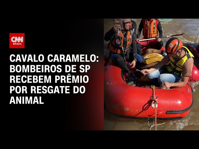 ⁣Cavalo Caramelo: Bombeiros de SP recebem prêmio por resgate do animal | LIVE CNN