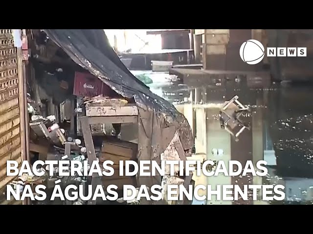 ⁣Estudo identifica bactérias nas enchentes do Rio Grande do Sul