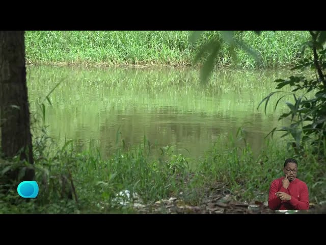 ⁣Residentes de zonas cercanas al Río Ozama temen inundaciones