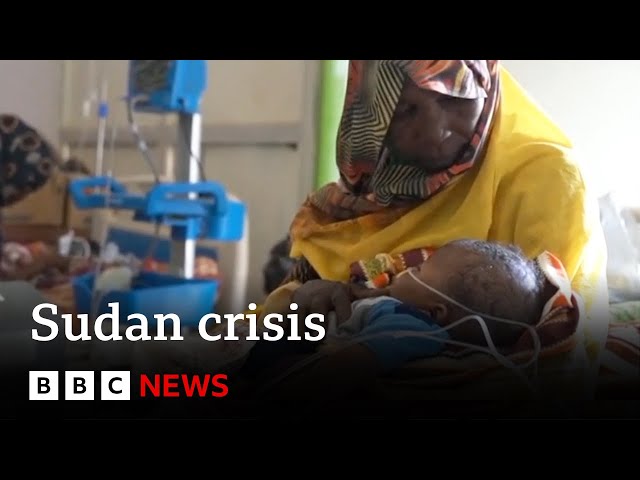 ⁣Residents in Sudan’s El Fasher are besieged and under attack | BBC News