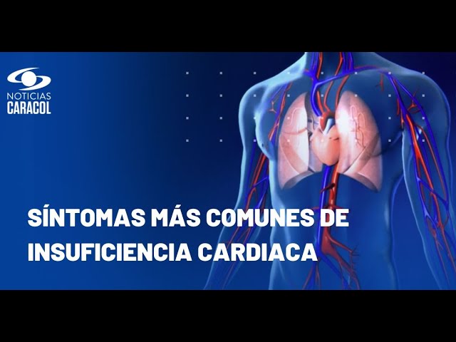 ⁣Insuficiencia cardiaca: ¿qué es y qué factores contribuyen para que se presente?