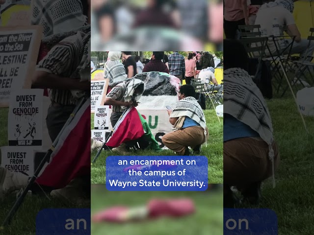 ⁣Pro-Palestine Encampment at Wayne State University