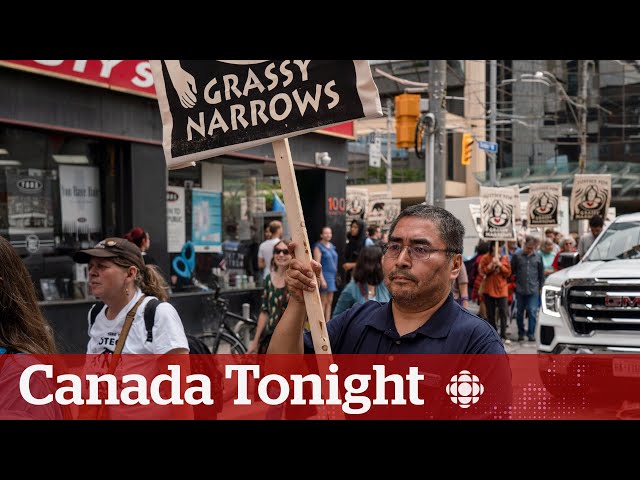⁣Mercury poisoning is worsening in Ontario's Grassy Narrows First Nation: study | Canada Tonight