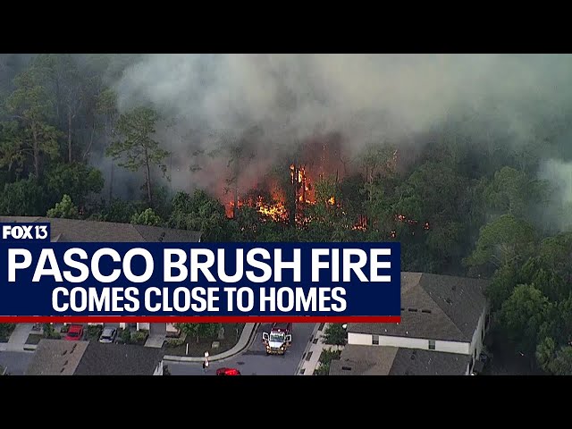 ⁣Port Richey brush fire comes dangerously close to homes