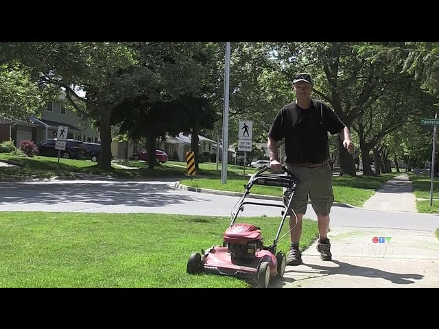 ⁣City in Ontario considering curfew for use of gas lawn mowers