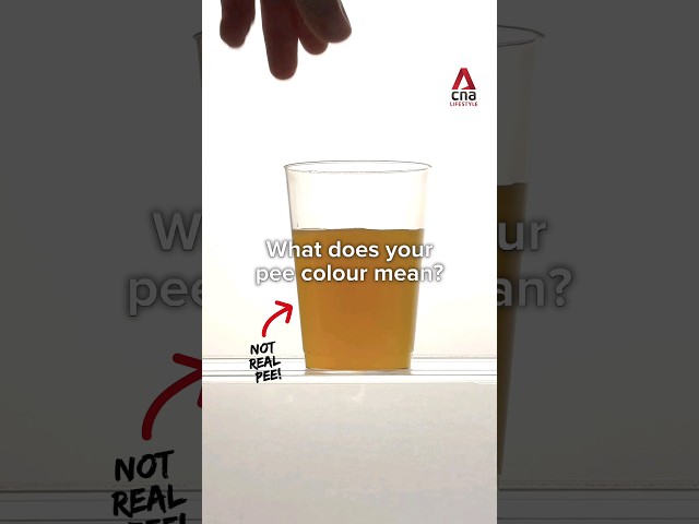 ⁣What does the colour of your urine say about your health?