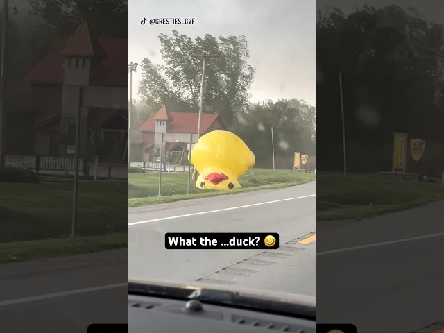 ⁣Giant inflatable duck narrowly misses drivers while blowing across a busy Michigan road 
