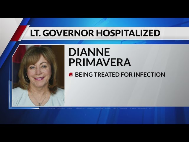 ⁣Lt. Gov. Dianne Primavera hospitalized
