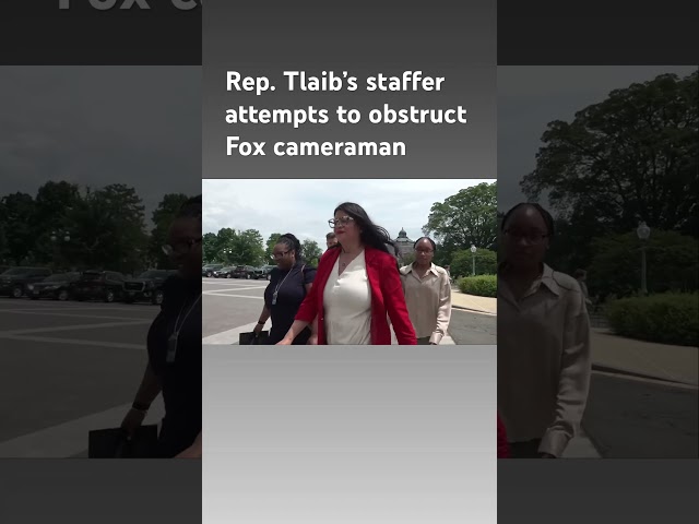 ⁣Staffer for 'Squad' member Rep. Tlaib tries to obstruct Fox cameraman #shorts