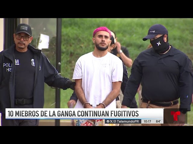 ⁣Arrestan a "Ñañito" y otros miembros de peligrosa ganga en Ponce