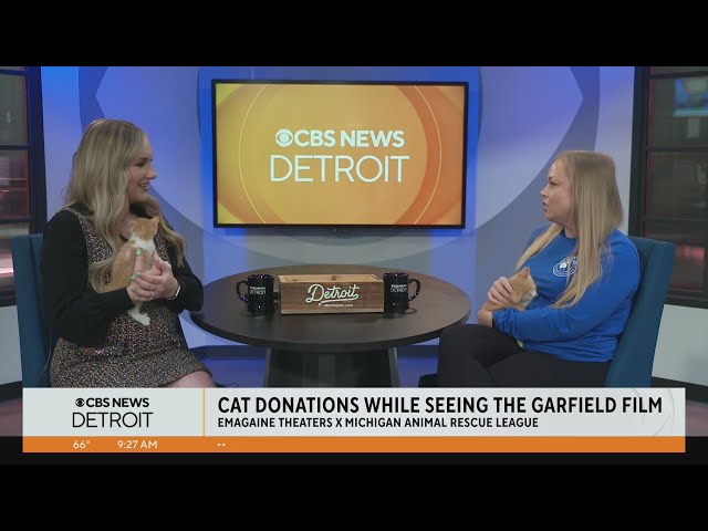 ⁣Michigan Animal Rescue League donations while seeing Garfield film