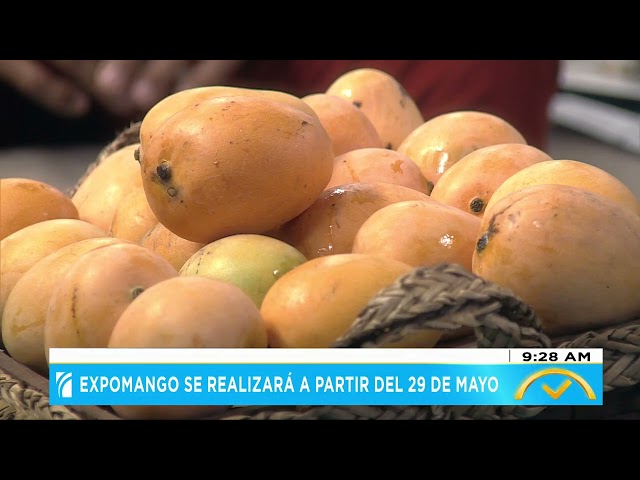 ⁣Festival de la Cosecha del Mango Dominicano iniciará este 29 de mayo