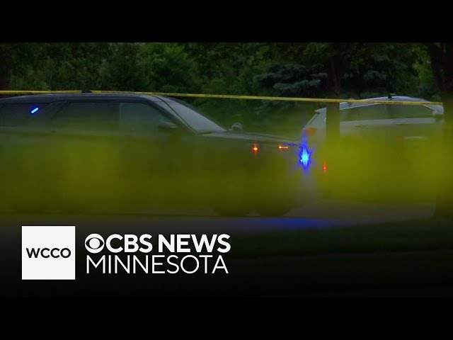 ⁣Suspect arrested after woman found dead inside Lakeville home, police say