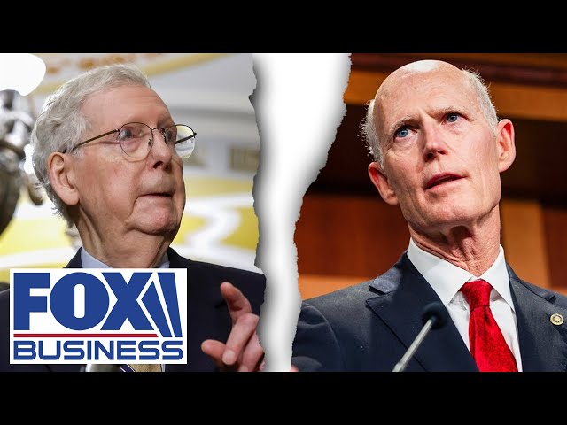 ⁣Florida senator makes his bid to replace Mitch McConnell and ‘partner with Donald Trump’