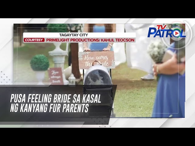 ⁣Pusa feeling bride sa kasal ng kanyang fur parents | TV Patrol