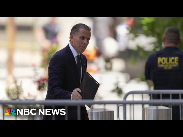 ⁣Judge in Hunter Biden's gun charges case rules on what can be referred to during trial
