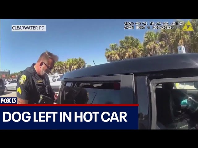 ⁣Dog left in hot car, woman arrested