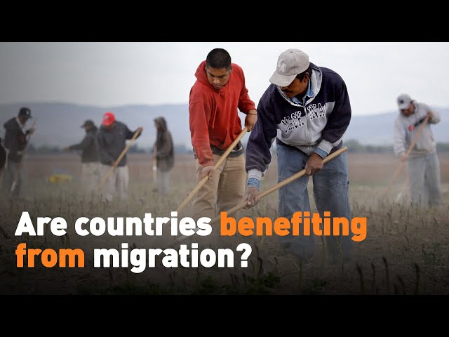 ⁣Are countries benefiting from migration?