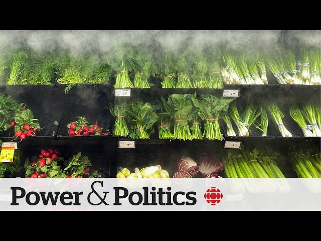⁣MPs debate high cost of food; fallout over allegations made in Sask. legislature | Political Pulse