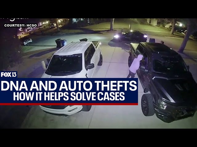 ⁣DNA evidence helping to solve auto theft cases