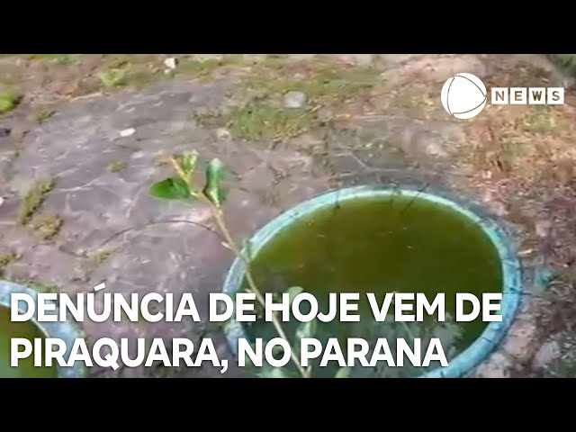 Record News contra a dengue: denúncia de hoje vem de Piraquara, no Paraná