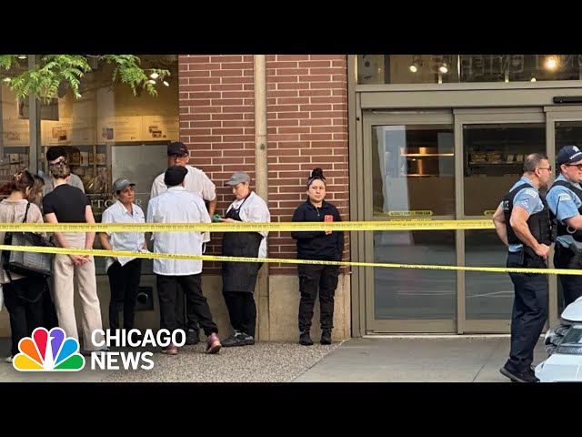 ⁣String of violent incidents at Chicago-area businesses
